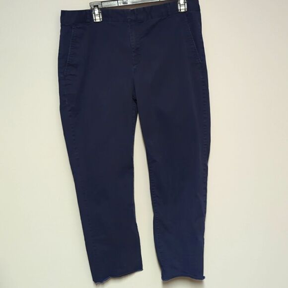 Banana Republic Factory Blue Chino Pants - Picture 1 of 7